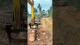 Stripping Bark with Machinery: How Efficiency Meets Tradition in Logging