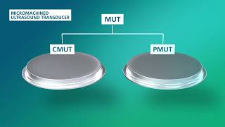 How Do Micromachined Ultrasound Transducers (MUT) Work? | Fraunhofer IPMS