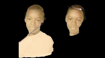 Vince Staples - Ramona Park Broke My Heart : PAPERCUTS (Visualizer)