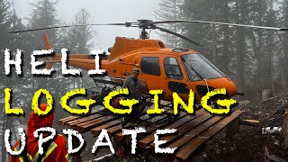 HeliLogging Support and Winter Updates
