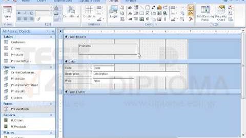 Insert a label displaying the text Products in the header of the ProductForm form. Format the...