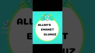 Kalbinden Gelen┊★ Bütün Dualarını Kabul┊★Ve Makbul Etsin┊ İNŞALLAH  ✿【 AMİN