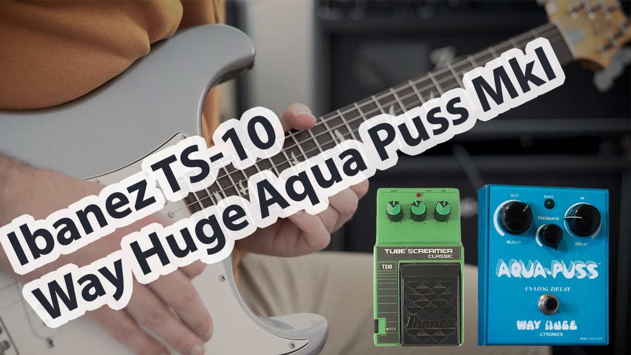 Way Huge Aqua Puss John Mayer Delay ギター Way Huge Aqua Puss