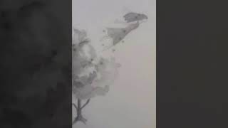 Ben Gittim / Yazarsam Geçer Mi̇