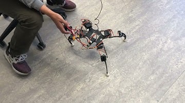 Hexapod with only four legs walking in lab