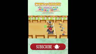 Story Of Season Fomt - Power Berry From Derby Festival