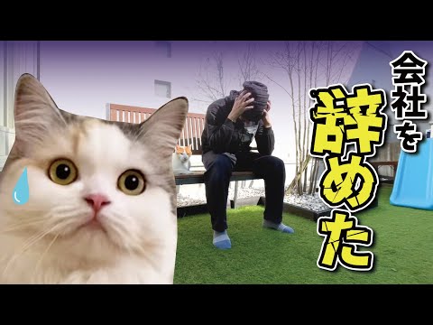 重度のコミュ症が仕事を辞めて猫と暮らし始めた理由【Vlog】