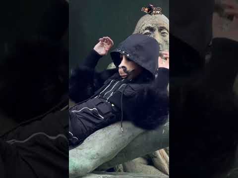 هو معقوله دا حولت وشها لوش حصان هو الهوس بالتجميل وصل للدرجادي دويتو