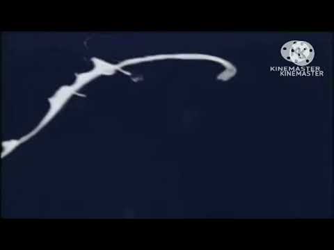 FremantleMedia (2006)