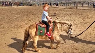 Adley rides BABY SPIRIT the horse!! Family day play with farm animals!