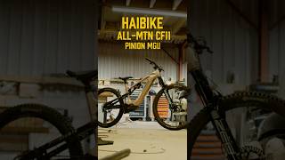 E-Bike Sounds Of The Future? The New Haibike All-Mtn Cf 11 Trniq With 12-Speed Pinion E1.12 Mgu.