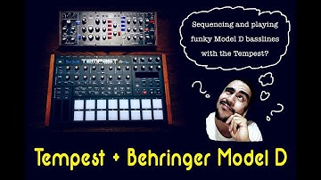 Tempest - Trying to nail down a funky Behringer Model D bassline