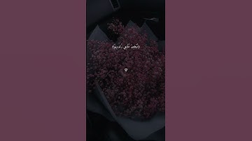 #آيات #عبرة #قرآن #راحة_نفسية