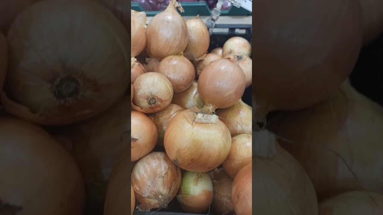 ЛУК Репчатый.Цена в магазине "VARUS" 8 февраля 2026 г.Павлоград