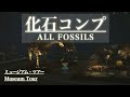 【あつ森】ミュージアム・ツアー(化石エリア)【あつまれどうぶつの森】 Museum Tour in Animal Crossing: New Horizons (Fossil Section)