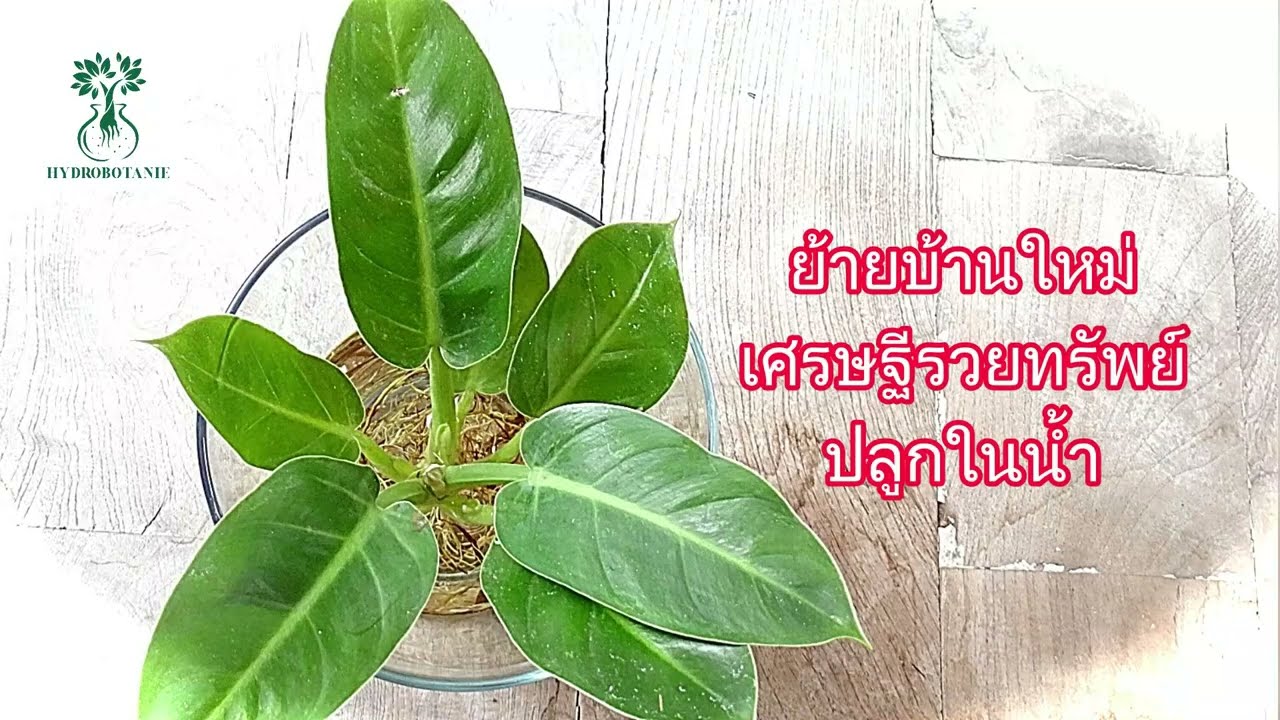 เปลี่ยนภาชนะใหม่ให้เศรษฐีรวยทรัพย์