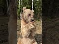 Ш Щ ШЄШµЩ ЩЉШ Щ Ш Ш Щ ШЇШЁ Ш Щ Ш Щ ШіЩЉ рџђ рџ рџ є Ш Щ ШіЩЉШ ШіЩЃШ Ш Щ ШЄШµЩ ЩЉШ Щ Ш Ш Щ ШЇШЁ Ш Щ Ш Щ ШіЩЉ рџђ рџ рџ є Ш Щ ШіЩЉШ ШіЩЃШ
