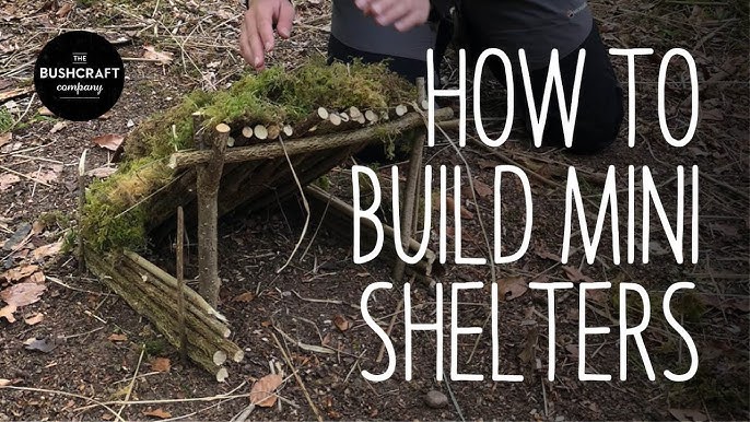 Building a shelter in the Woodlands 