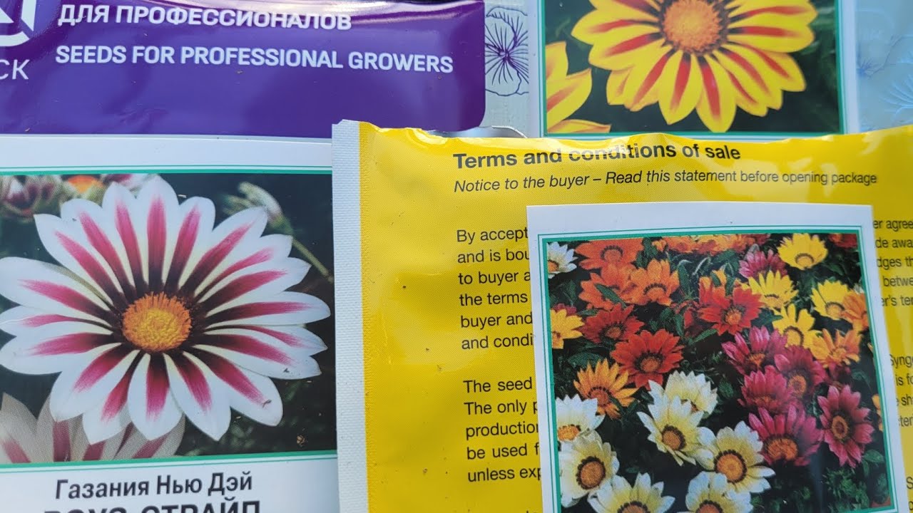 Ցանում ենք# (газания)##🪴🪴🌹🌹