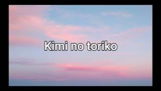 Kimi no Toriko - Rizky Ayuba [Lyrics]