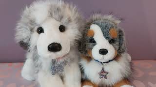 My Collection of Douglas Cuddle Toys Australian Shepherd Plush Dogs 🐾