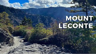 Serene Hike from to LeConte Lodge in Tennessee | Great Smoky Mountains National Park