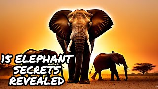 15 Astonishing Facts About Elephants