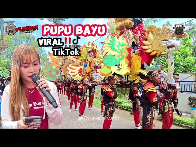 PUPU BAYU | PUTRA PAI MUDA | Viral tiktok - Show Jatisawit jatibarang Indramayu class=
