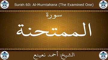 القرآن الكريم بصوت احمد نعينع - سورة الممتحنة
