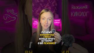 Не суди собаку «по обложке» #кинолог #собака #охранадома #животные #история #суперсобака #собаки