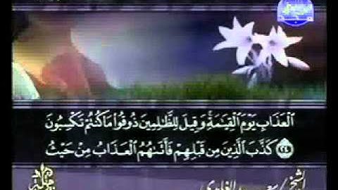 سورة الزمر الشيخ سعد الغامدي