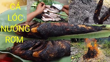 Cá lóc nướng rơm,món ngon quê hương, ẩm thực đồng quê