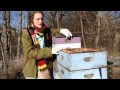 Science of Agriculture Challenge: Wintering bees research