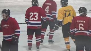 2016-17 NSNHL Playoffs - Wednesday 50 Plus Red v Yellow