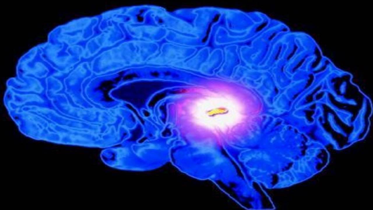 Ayahuasca Icaros - Takiwasi - 432hz