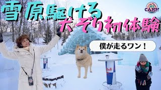 犬ぞり初体験！まさかの人ぞりも…?!【ICE FOREST 2023】 - YouTube