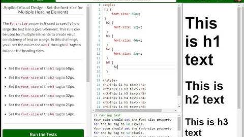 Applied Visual Design   Set the font size for Multiple Heading Elements free code camp   Dani