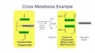 Steposol Met-10U Innovative Solution And Green Chemistry