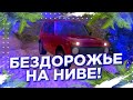 НА НИВЕ ПО БЕЗДОРОЖЬЮ!! РАЗБОГАТЕЛ ВО ВРЕМЯ СЕРИИ!! БЕЗДОРОЖЬЕ В PETROL HEAD!!