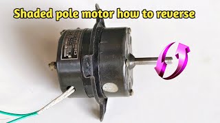 Hot-air blower with shaded-pole motors