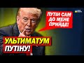 Путін хоче побачити Трампа! Трамп поставив ультиматум Путіну!