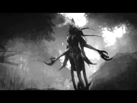 Evolve gmv