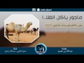 شيلة ماجور ياكل الغلا والسلامه اداء حمزه العزي عبدالله راجح 