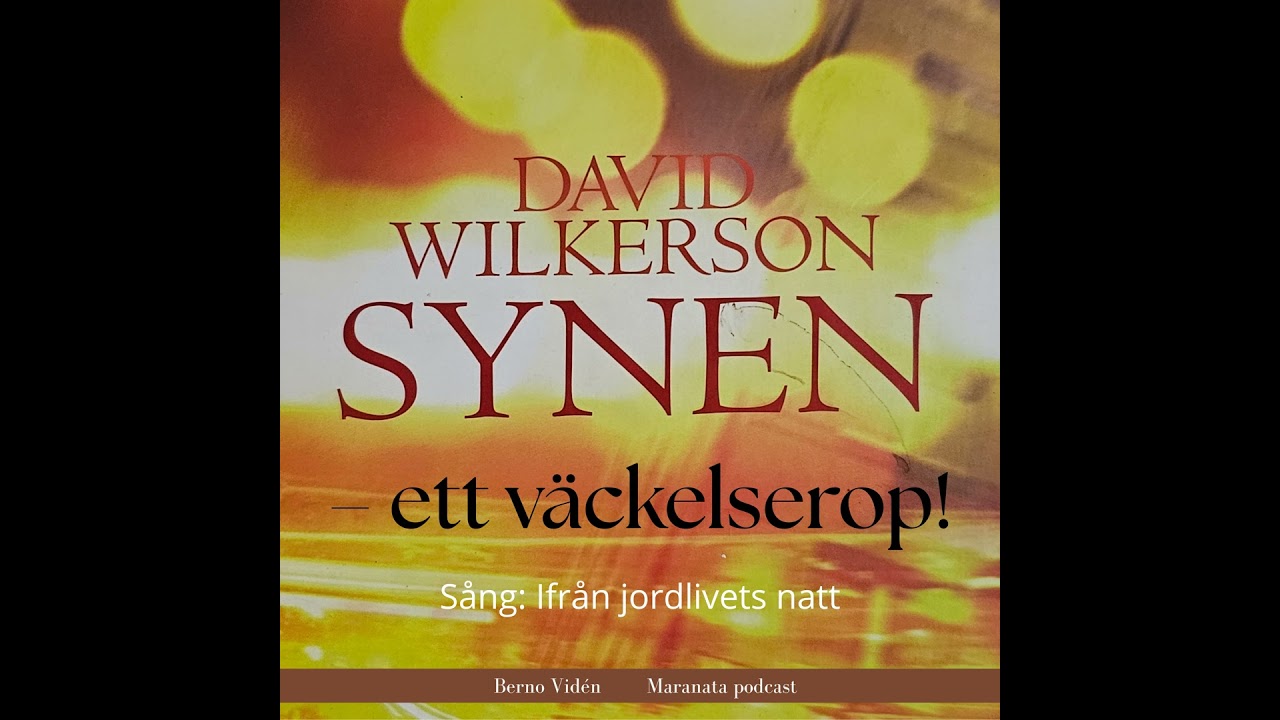 Synen – ett väckelserop | Berno Vidén