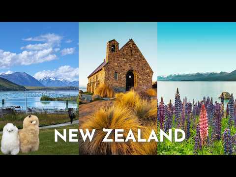 New Zealand South Island Lake Tekapo December 🇳🇿 Mount Cook Lake Pukaki • 新西兰 - 蒂卡普湖 • 普卡基湖 vlog