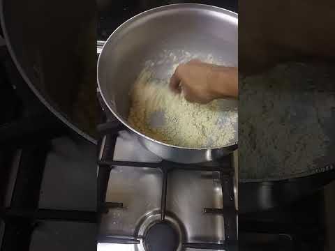      كلاب كلب صغير ينتظر الاكل