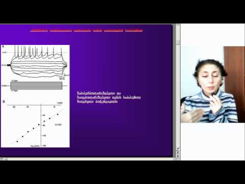 ნეირობიოლოგიის კვლევის თანამედროვე მეთოდები, ლექცია6, ნაწილი1, ეკა ლეფსვერიძე,  D005 2 05092