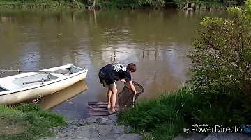 Jak vysoká je teplota vody u teplomilné ryby?