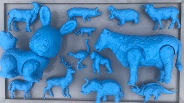 Tên và rửa sạch các con vật, khỉ đột, ngựa vằn, voi, khủng long, hươu, bò, dê, lợn, đà điểu