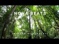 Nova beatsessence of minds 19 melodic technohouse  progressive house dj mix